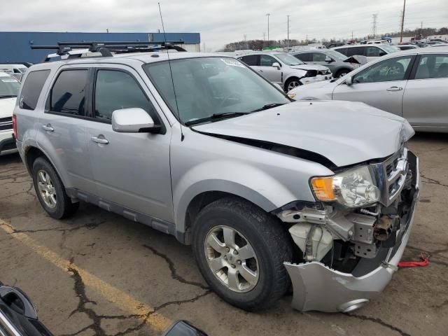 2011 Ford Escape Limited