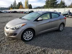 Hyundai Elantra salvage cars for sale: 2011 Hyundai Elantra GLS