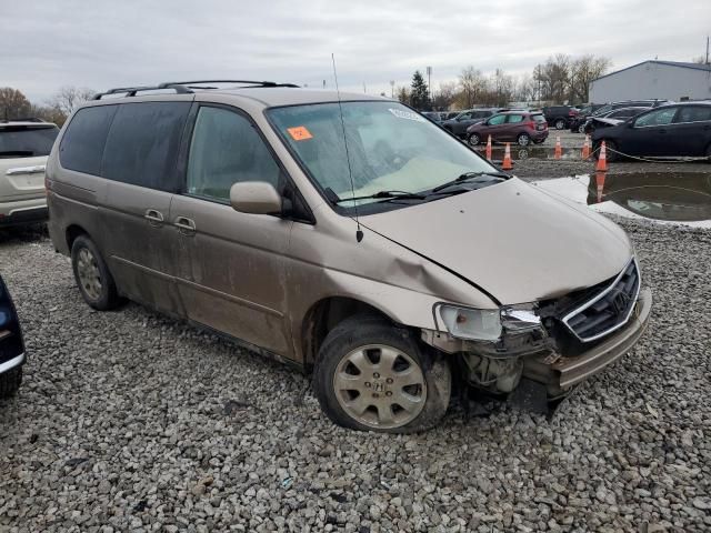 2004 Honda Odyssey EXL