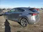 2019 Lexus NX 300H