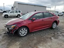 Toyota salvage cars for sale: 2024 Toyota Corolla LE