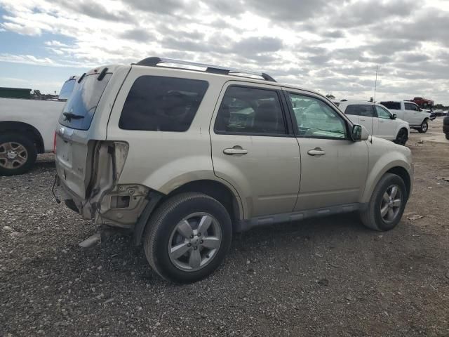 2010 Ford Escape Limited