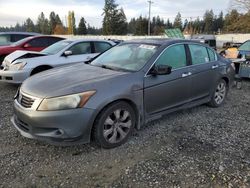 Salvage cars for sale at Graham, WA auction: 2009 Honda Accord EXL