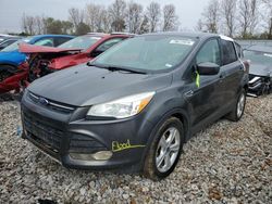 SUV salvage a la venta en subasta: 2015 Ford Escape SE