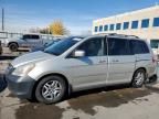 2006 Honda Odyssey EX