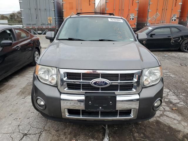 2010 Ford Escape Limited