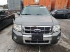 2010 Ford Escape Limited