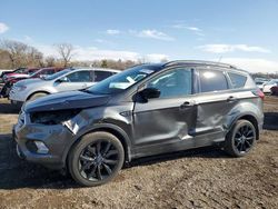 Salvage cars for sale at Des Moines, IA auction: 2019 Ford Escape SE