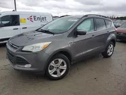 Salvage cars for sale at Indianapolis, IN auction: 2014 Ford Escape SE