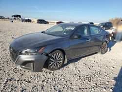 Salvage cars for sale at Taylor, TX auction: 2023 Nissan Altima SV