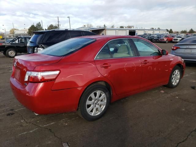 2008 Toyota Camry Hybrid