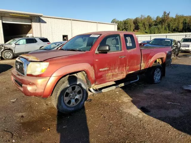 2005 Toyota Tacoma Prerunner Access Cab