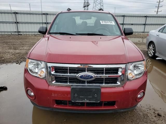 2011 Ford Escape XLT