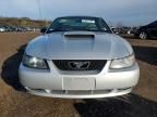 2001 Ford Mustang GT