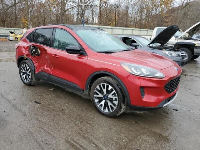 2020 Ford Escape SE Sport