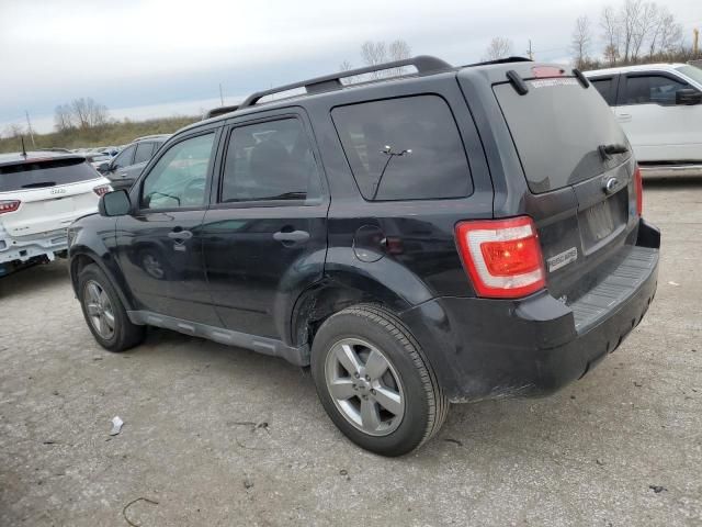 2009 Ford Escape XLT