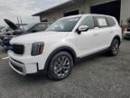 2024 KIA Telluride LX