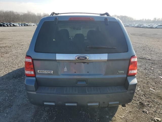 2010 Ford Escape Limited