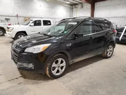 Ford Escape salvage cars for sale: 2013 Ford Escape SE