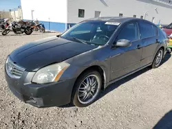 Nissan Maxima Vehiculos salvage en venta: 2007 Nissan Maxima SE