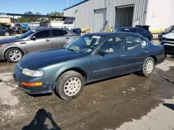 Salvage cars for sale at New Orleans, LA auction: 1998 Nissan Maxima GLE