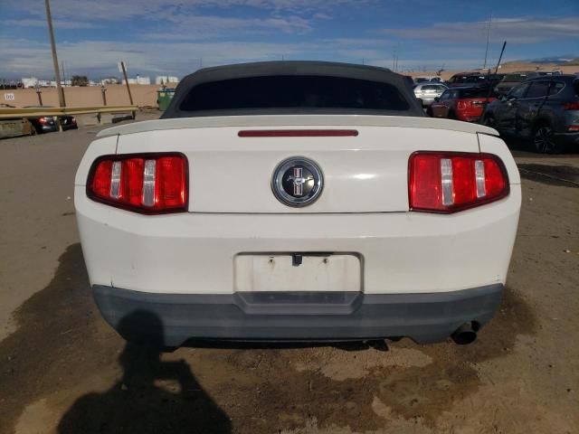 2010 Ford Mustang