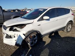 Salvage SUVs for sale at auction: 2015 Ford Escape SE