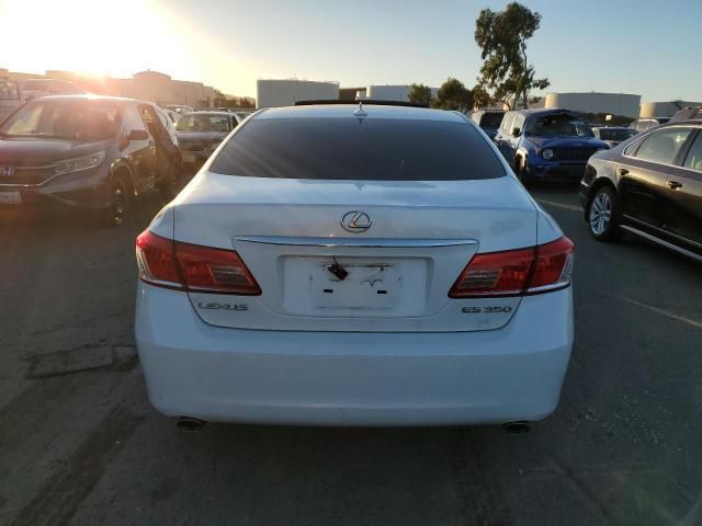 2010 Lexus ES 350