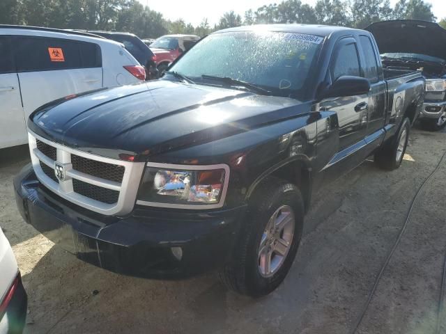 2010 Dodge Dakota SXT