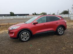 Salvage cars for sale at American Canyon, CA auction: 2021 Ford Escape SEL