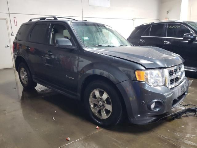 2010 Ford Escape Hybrid