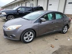 Salvage cars for sale at Louisville, KY auction: 2014 Ford Focus SE