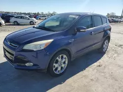 Ford Escape Vehiculos salvage en venta: 2013 Ford Escape SEL