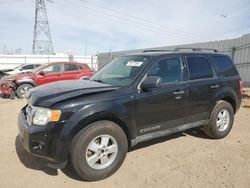 2010 Ford Escape XLT en venta en Adelanto, CA