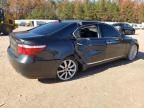 2007 Lexus LS 460