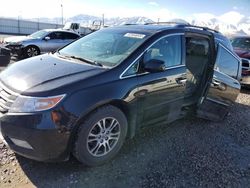 Honda salvage cars for sale: 2012 Honda Odyssey EXL