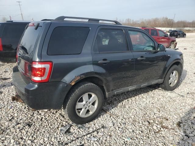 2009 Ford Escape XLT