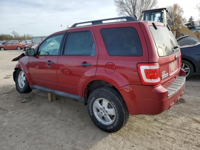 2011 Ford Escape XLT