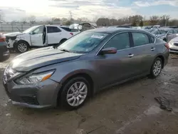 Salvage cars for sale at Louisville, KY auction: 2016 Nissan Altima 2.5