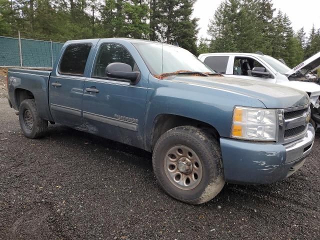 2010 Chevrolet Silverado K1500 LS