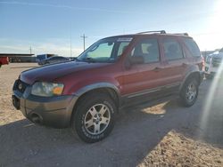 Ford salvage cars for sale: 2005 Ford Escape XLT