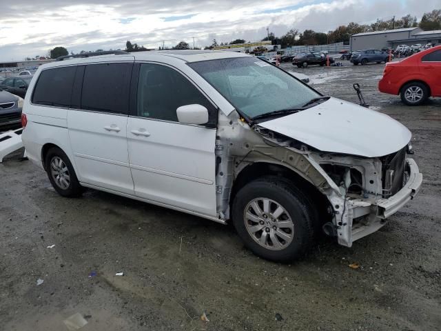 2010 Honda Odyssey EXL