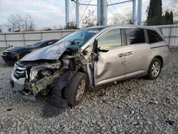 Salvage cars for sale at Windsor, NJ auction: 2016 Honda Odyssey EXL