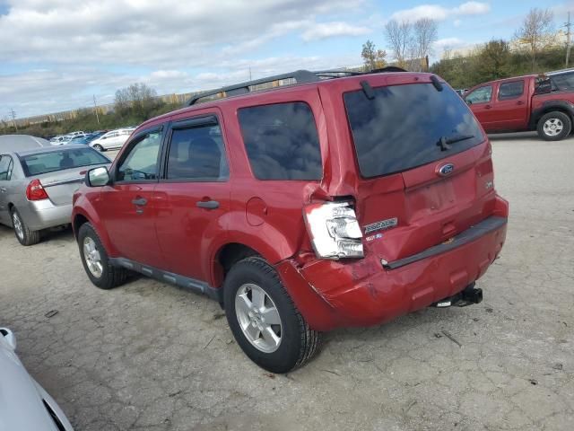 2010 Ford Escape XLT