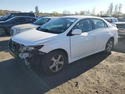 Toyota salvage cars for sale: 2013 Toyota Corolla Base