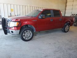 2010 Ford F150 Supercrew en venta en Abilene, TX