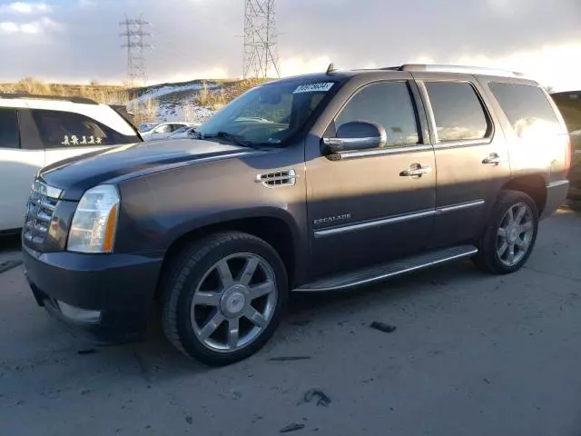 2010 Cadillac Escalade Luxury