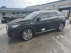 2021 Infiniti QX50 Essential