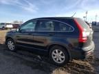 2009 Honda CR-V EX