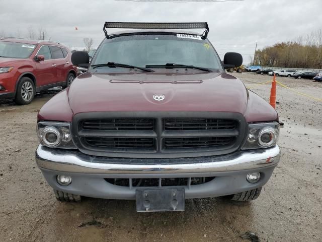 2000 Dodge Dakota